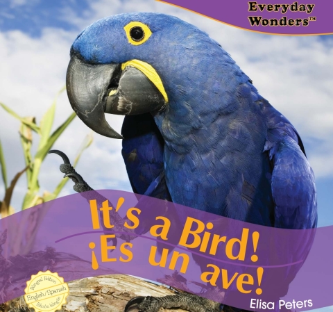 Cover image for book It’s a Bird!
