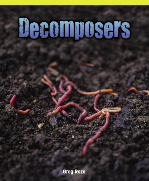 Cover image for book Decomposers