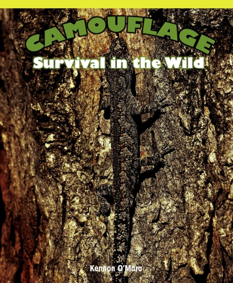 Cover image for book Camouflage