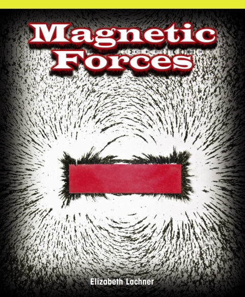 Cover image for book Magnetic Forces
