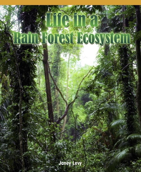 Cover image for book Life in a Rain Forest Ecosystem