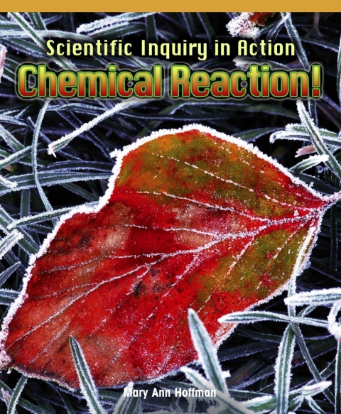 Cover image for book Scientific Inquiry in Action