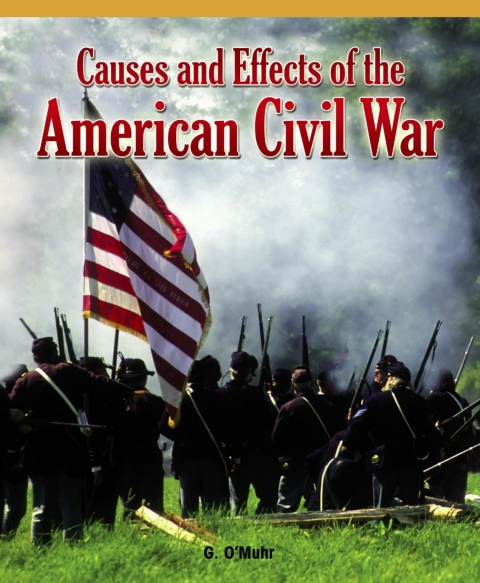 Cover image for book Causes and Effects of the American Civil War