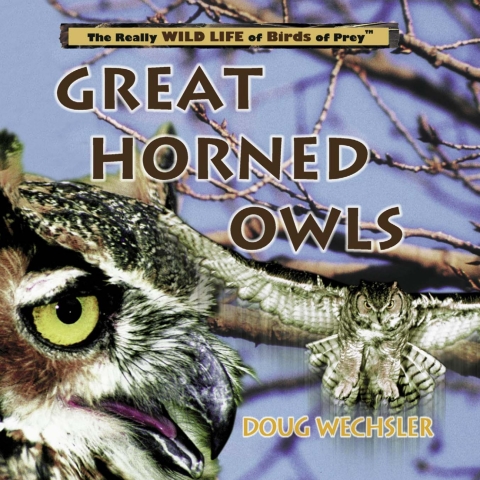 Cover image for book Great Horned Owls