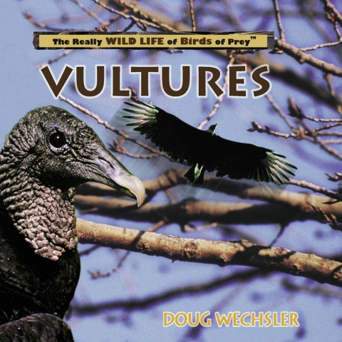 Cover image for book Vultures