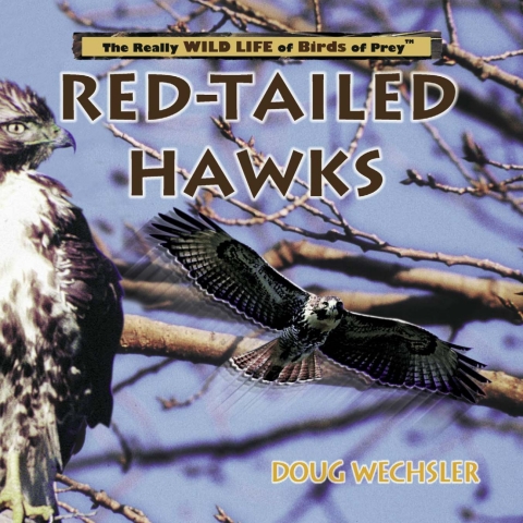 Cover image for book Red- Tailed Hawks