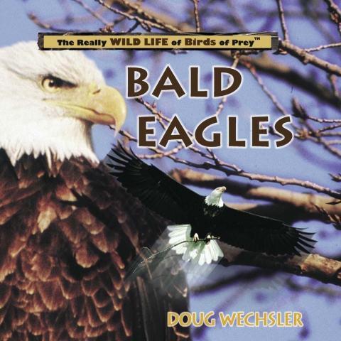 Cover image for book Bald Eagles