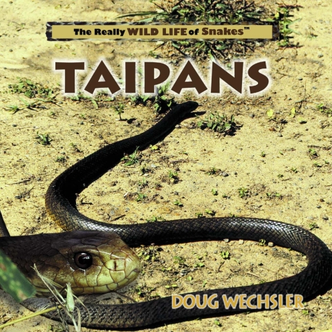 Cover image for book Taipans