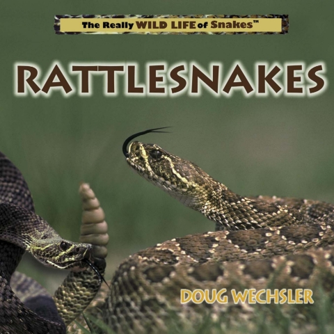 Cover image for book Rattlesnakes