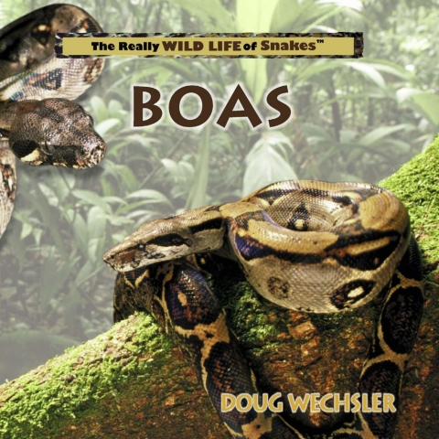 Cover image for book Boas