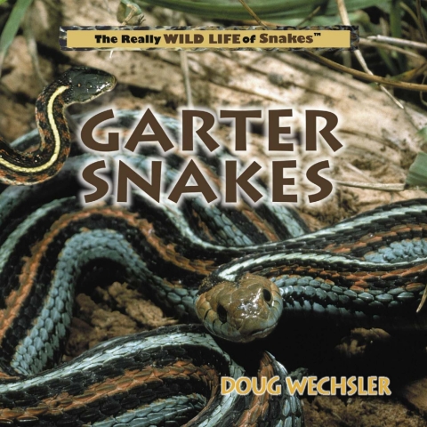 Cover image for book Garter Snakes