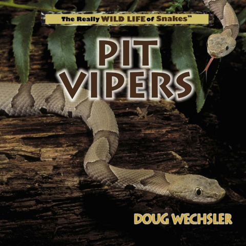 Cover image for book Pit Vipers