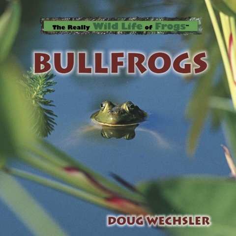 Cover image for book Bullfrogs