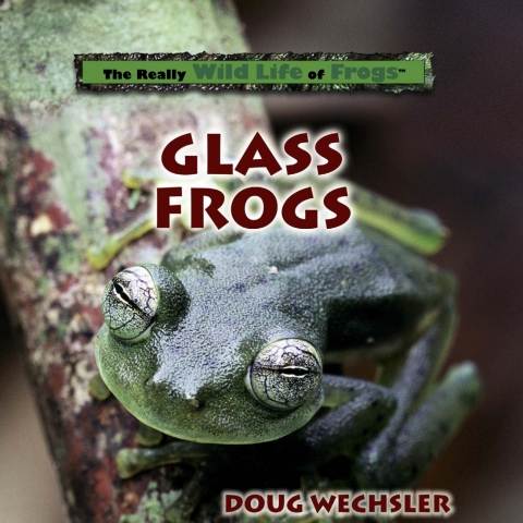 Cover image for book Glass Frogs