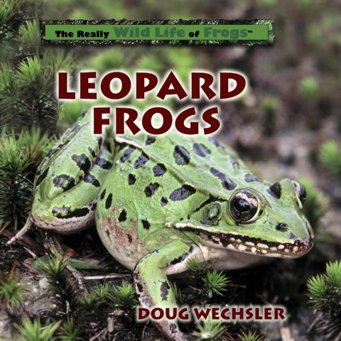 Cover image for book Leopard Frogs