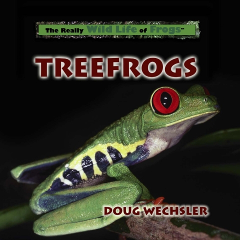 Cover image for book Treefrogs