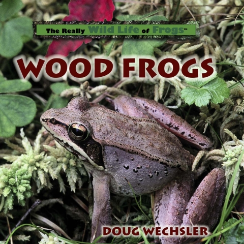 Cover image for book Wood Frogs