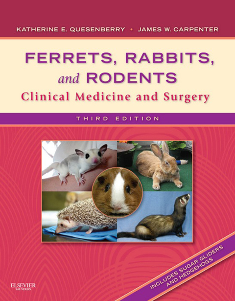 Ferrets, Rabbits and Rodents 