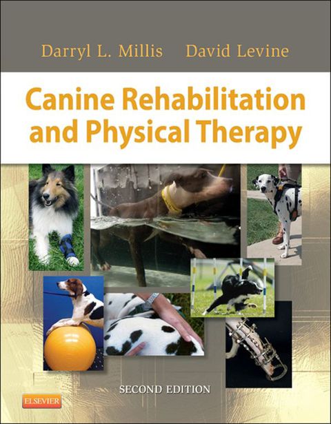 Cover image for book Canine Rehabilitation and Physical Therapy