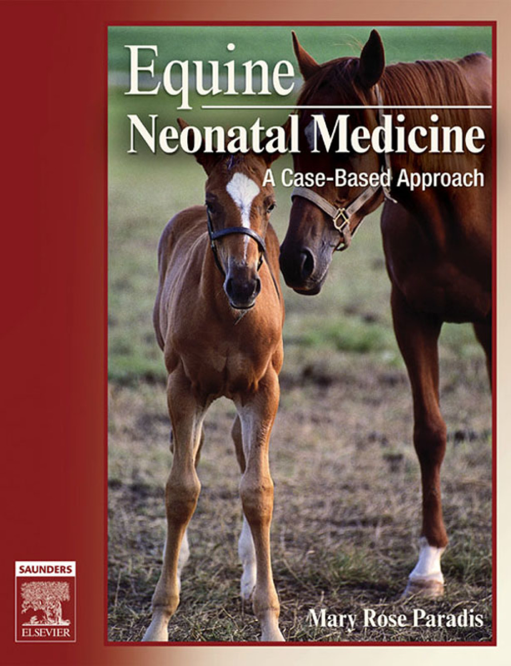 Equine Neonatal Medicine (eBook Rental) - Mary Rose Paradis,