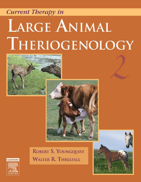 Cover image for book Current Therapy in Large Animal Theriogenology