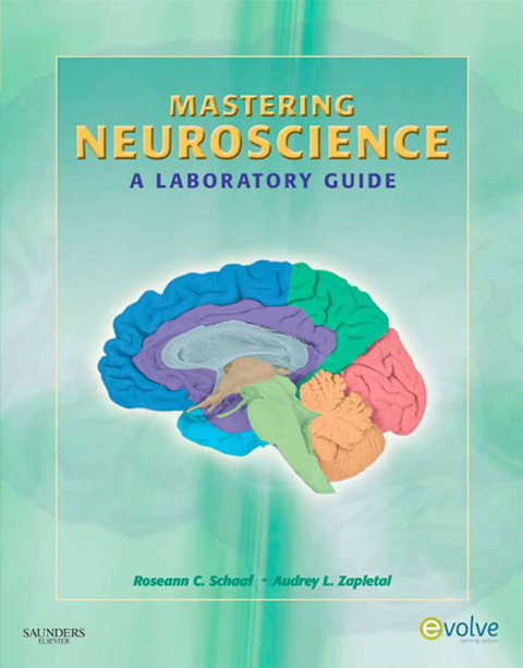Cover image for book Mastering Neuroscience
