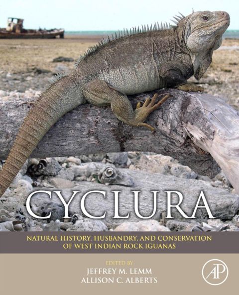 Cover image for book Cyclura: Natural History, Husbandry, and Conservation of West Indian Rock Iguanas