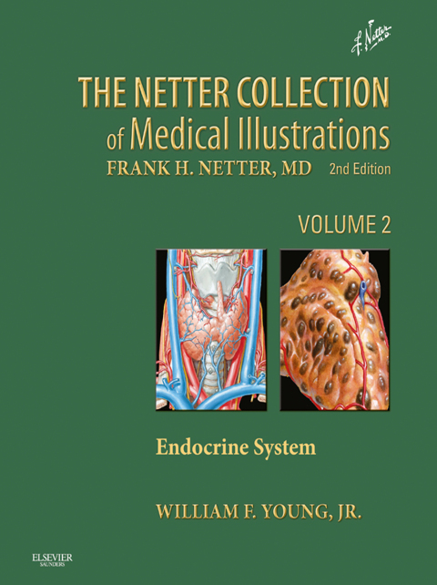 Netter Collection of Medical Illustrations: Endocrine System 