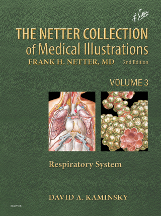 Netter Collection of Medical Illustrations: Respiratory System