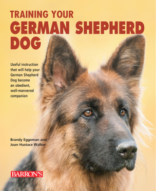 Training Your German Shepherd Dog