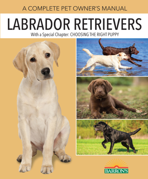 Cover image for book Labrador Retrievers
