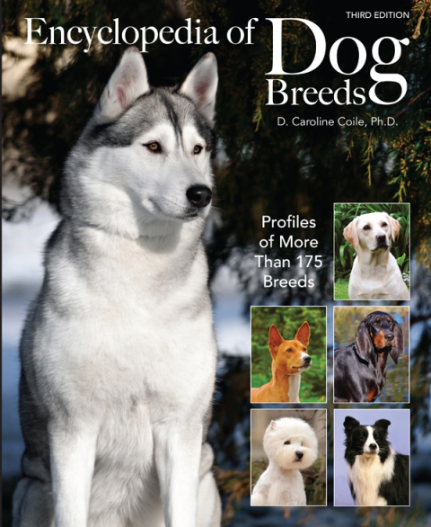 Cover image for book Encyclopedia of Dog Breeds