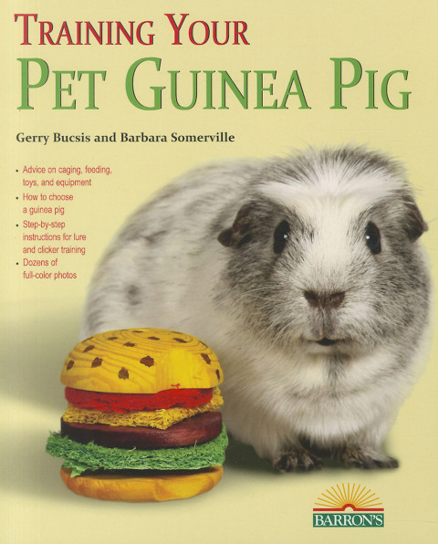 Cover image for book Training Your Guinea Pig