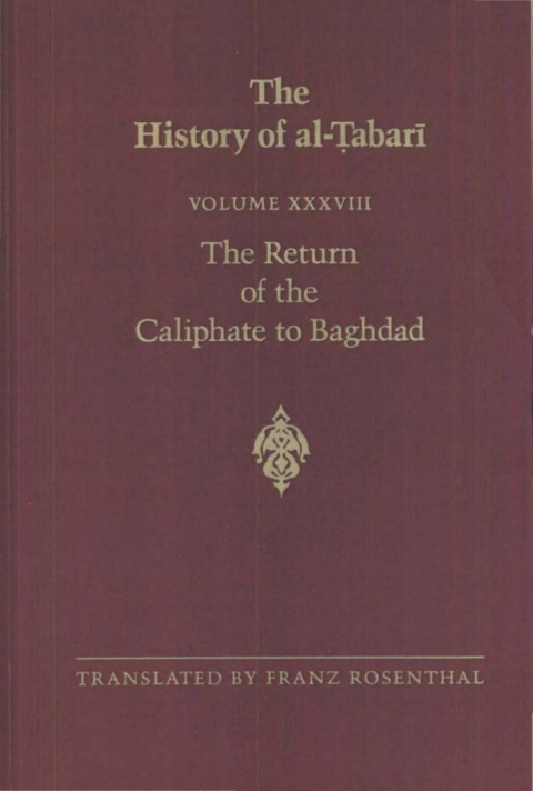 Cover image for book The History of al-Ṭabarī Vol. 38