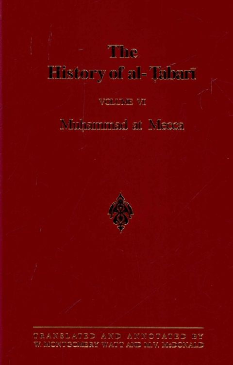 The History of al-á¹¬abarÄ« Vol. 6 