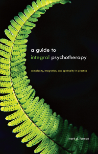 صورة الغلاف: A Guide to Integral Psychotherapy 9781438430232
