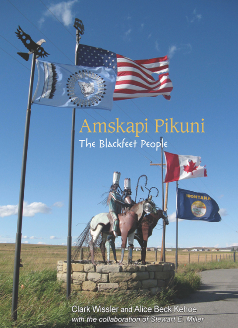 Cover image for book Amskapi Pikuni