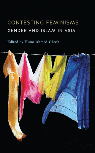 Contesting Feminisms