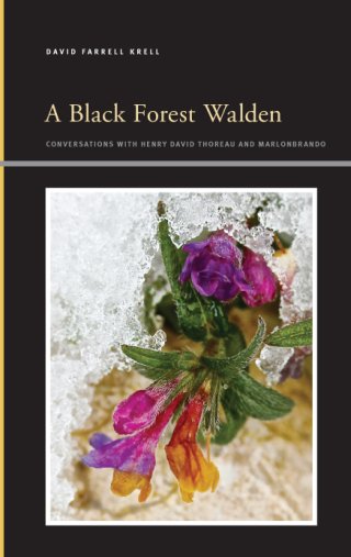 A Black Forest Walden