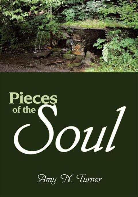 Cover image for book Pieces of the Soul