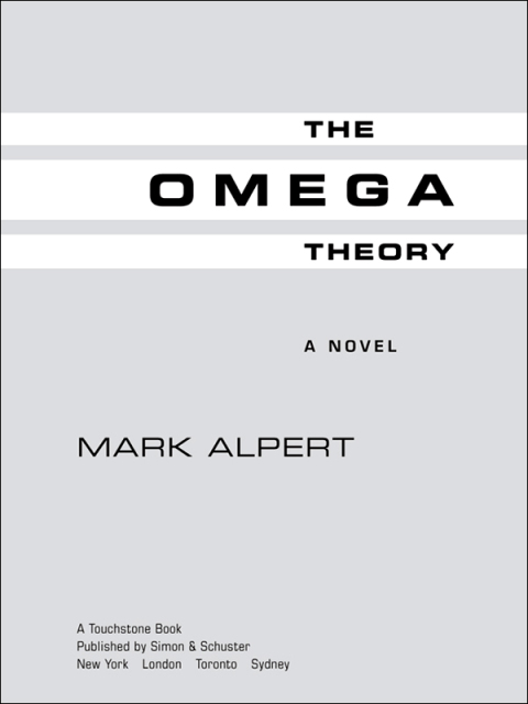 Cover image for book The Omega Theory