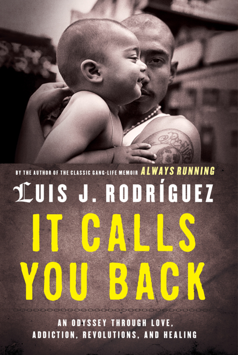 Cover image for book It Calls You Back