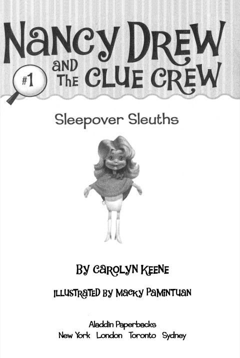 Cover image for book Sleepover Sleuths