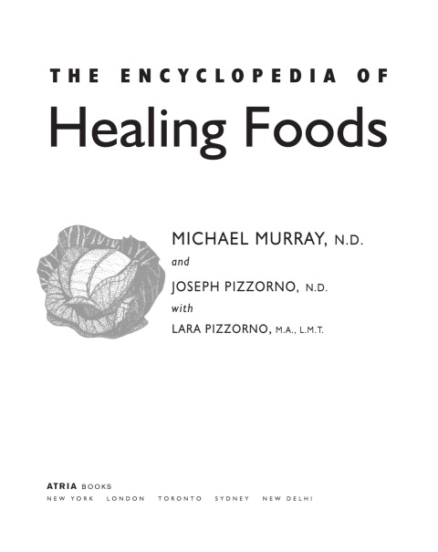 Cover image for book The Encyclopedia of Healing Foods