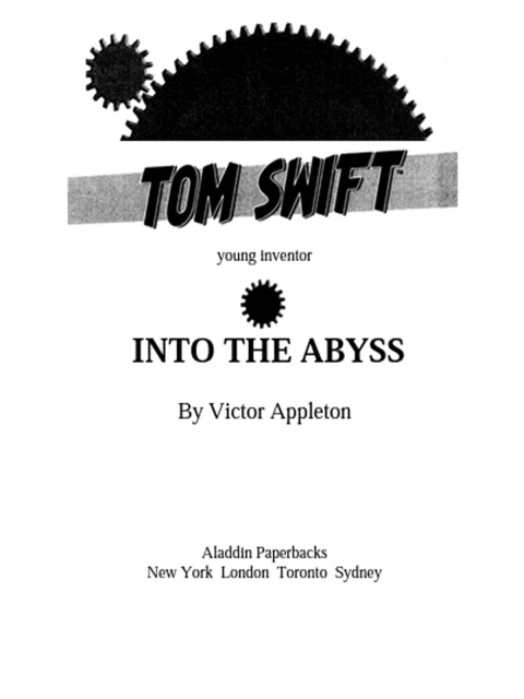 Cover image for book Into the Abyss