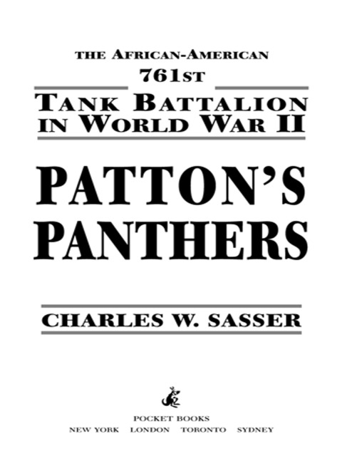 Cover image for book Patton's Panthers