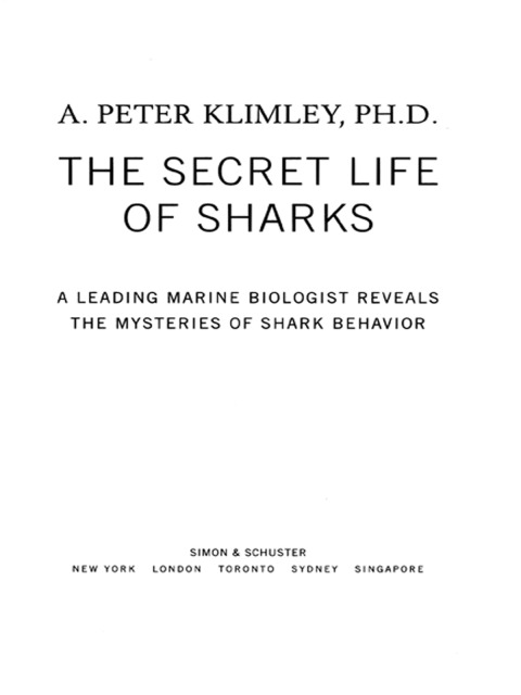 Cover image for book The Secret Life of Sharks