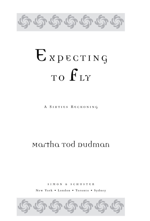 Cover image for book Expecting to Fly