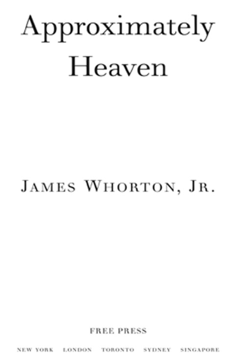 Cover image for book Approximately Heaven