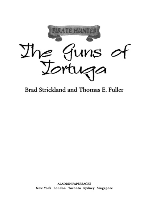 Cover image for book The Guns of Tortuga
